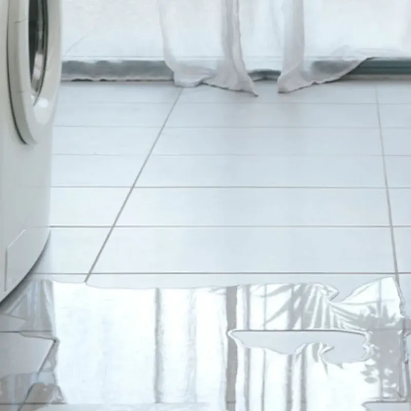 Appliance Leak Cleanup in Niles, IL
