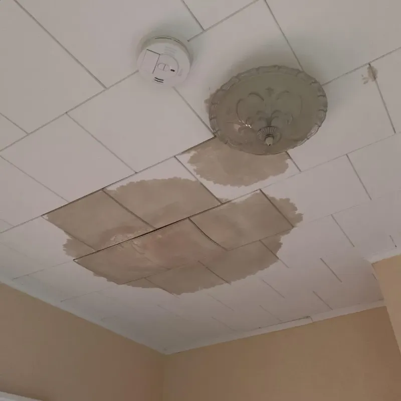 Ceiling Water Damage Repair in Niles, IL