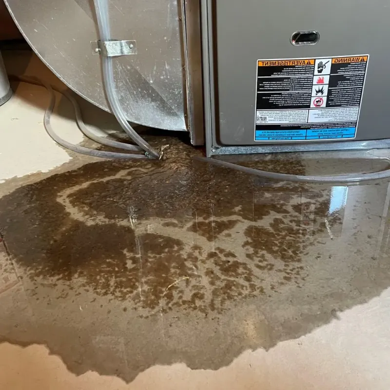 Pipe Burst and Leak Restoration in Niles, IL