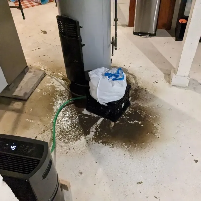 Sewage Backup Cleanup Service in Niles, IL